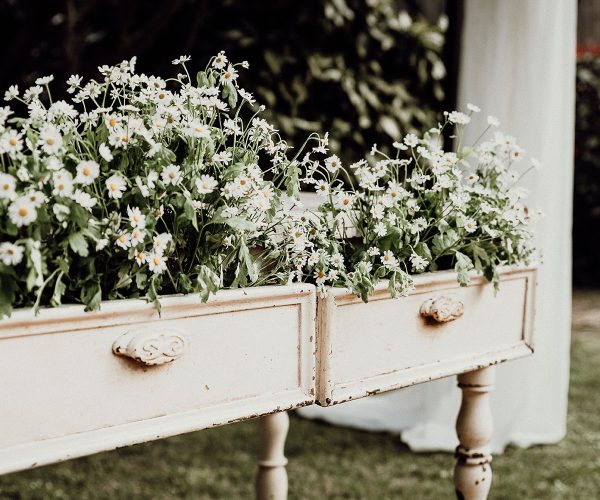 Decoração na Quinta de Sonhos